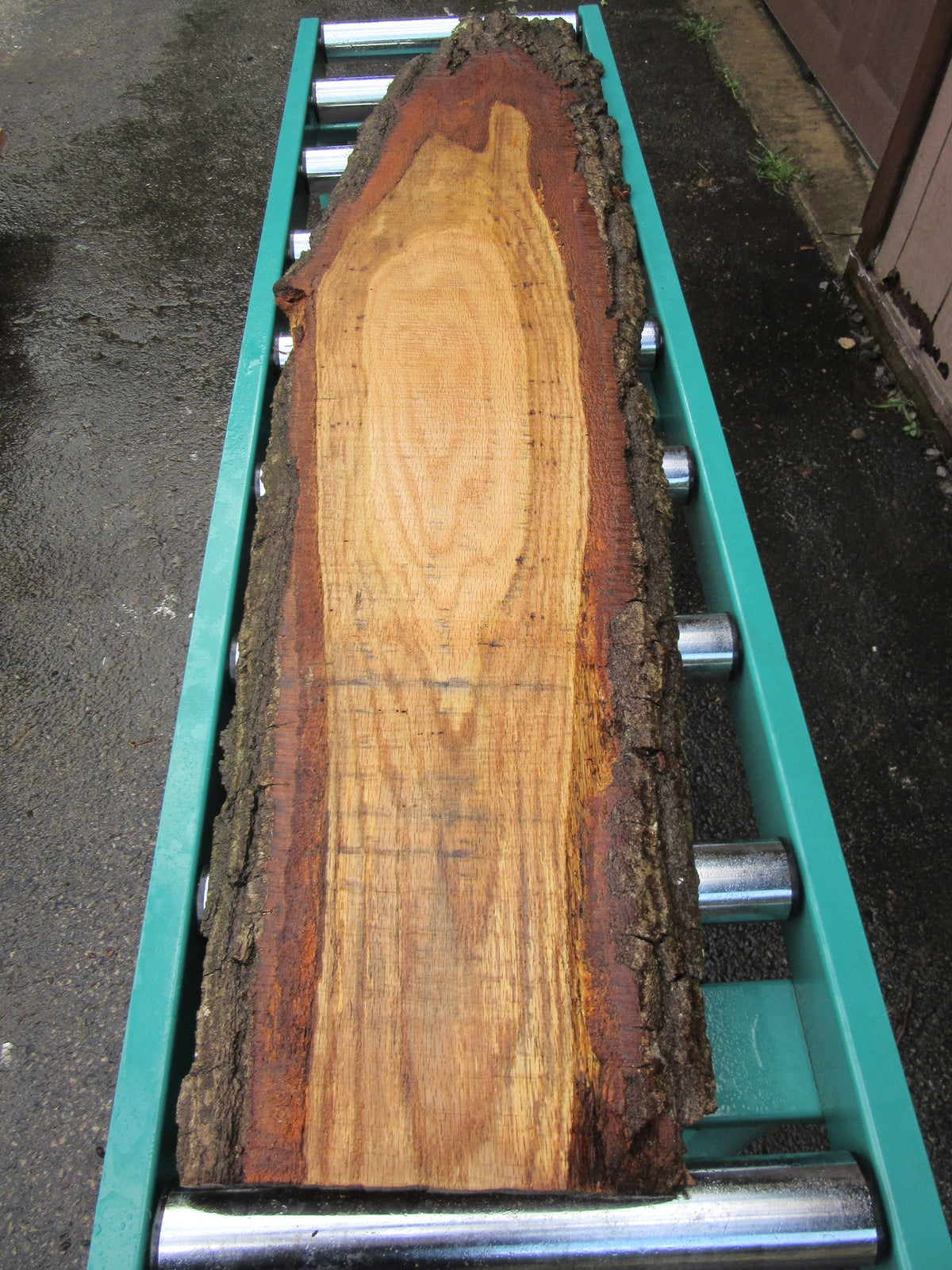 Red Oak Natural-Edge Character Slab - 4/4 x 52 in - 10-14 in Wide