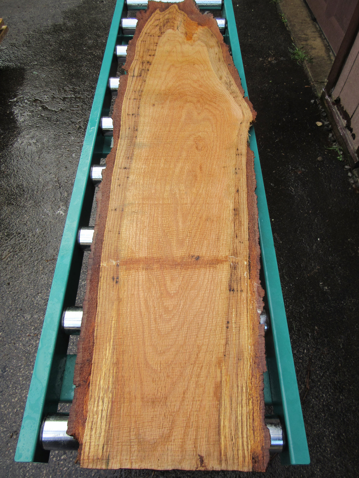 Red Oak Natural-Edge Character Slab - 4/4 x 52 in - 10-14 in Wide