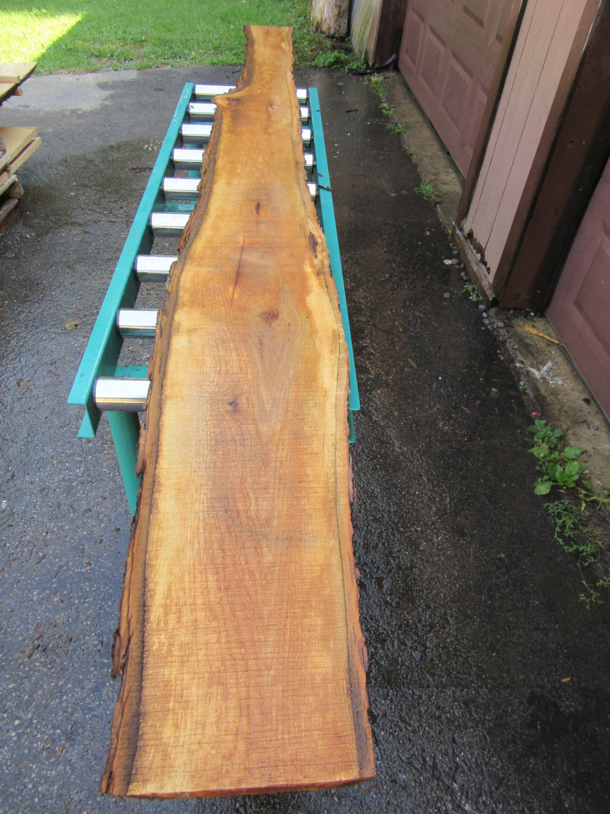 Pignut Hickory Natural-Edge Character Board with Bark-Covered Wane - 4/4 x 10 ft - 4.5-11 in Wide